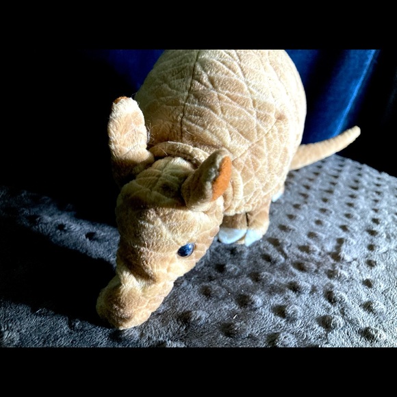 Pier 1 Armadillo Bean Plush | Stuffed Animal Toy - Picture 7 of 11